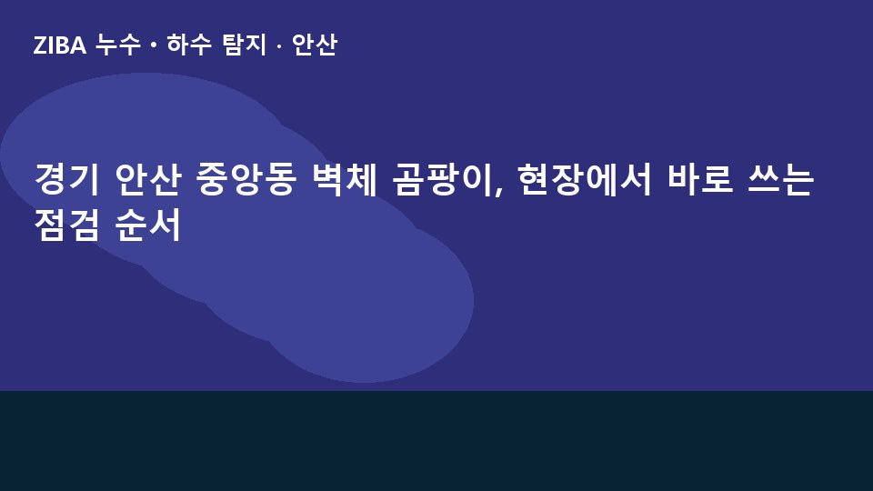 경기 안산 중앙동 벽체 곰팡이, 현장에서 바로 쓰는 점검 순서
