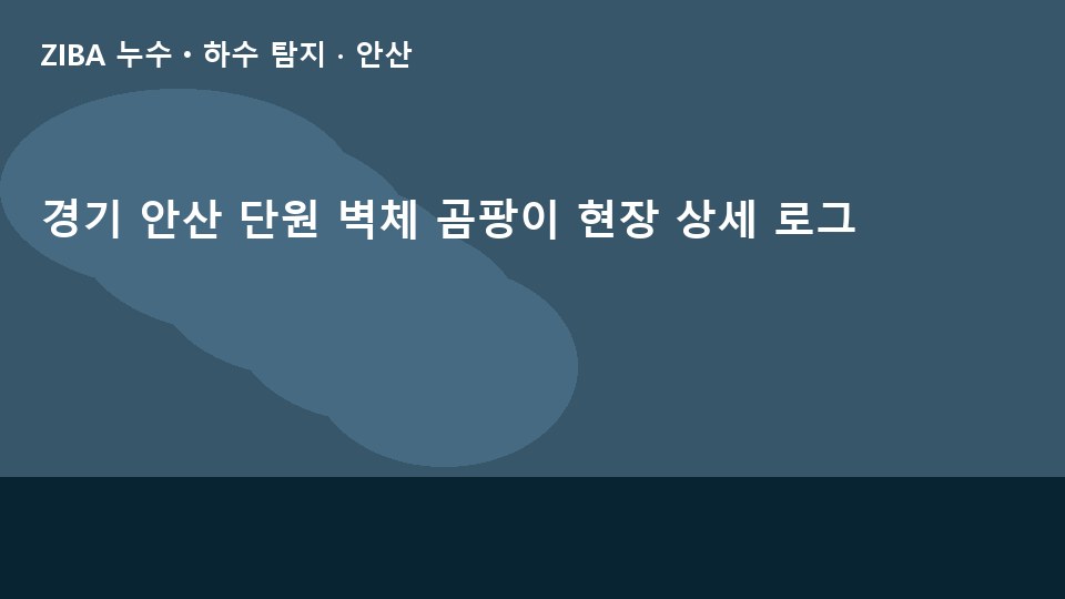 경기 안산 단원 벽체 곰팡이 현장 상세 로그